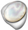 KnSam Damen Ringe 21MM, Poliert Muschel Damenringe Band Ringe Eheringe, Edelstahl Ring Silber, Gr.49 (15.6)
