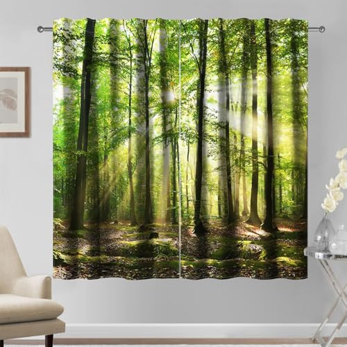 Kzzfqxb 132×214cm Waldvorhänge Set von 2 Paneelen, Natürliche Landschaft Grüner Dschungel Wald Sonnenlicht Bäume Gefallene Blätter Fenstervorhänge für Wohnzimmer Schlafzimmer, Frisch