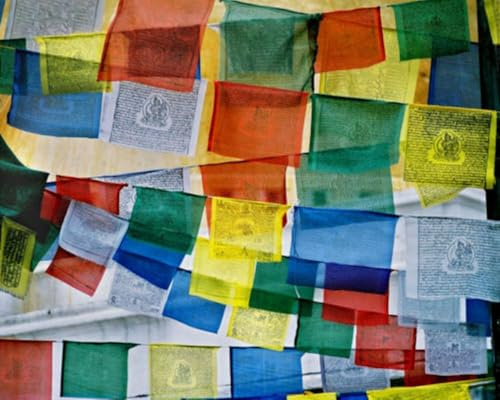 Echte Fair Trade tibetisch-buddhistische Baumwolle Gebetsfahnen - handgefertigt in Nepal - Set mit 5 Saiten (insgesamt 50 Flaggen) - Traditionelle Windpferd-Designs - authentische Himalaya-spirituelle