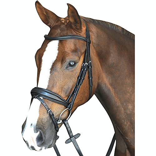 Collegiate Mono Crown Padded Raised Flash Bridle