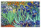 xigua Puzzle 500 Teile - Van Gogh Iris Holzpuzzle für Familienspiele - Geeignet für Jugendliche und Erwachsene