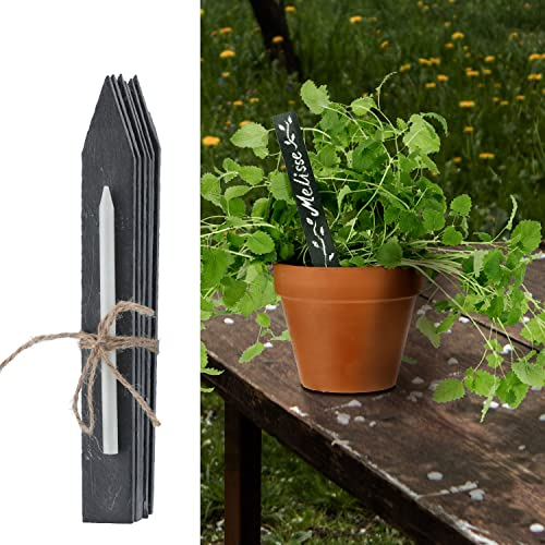 Pflanzstecker 6er Set zum Beschriften | Schiefer Kreide 15x2x0,5cm | Schild zum Einstecken in Töpfe und Beete