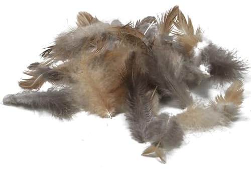 1 Pack Hühnerfedern 150 STK Osterdeko Basteln Federn Perlhuhn Federn Deko Ostern Feder Hühnerfedern ot788 Dekofedern