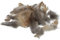 RiloStore 1 Pack Hühnerfedern 150 STK Osterdeko Basteln Federn Perlhuhn Federn Deko Ostern Feder Hühnerfedern ot788 Dekofedern