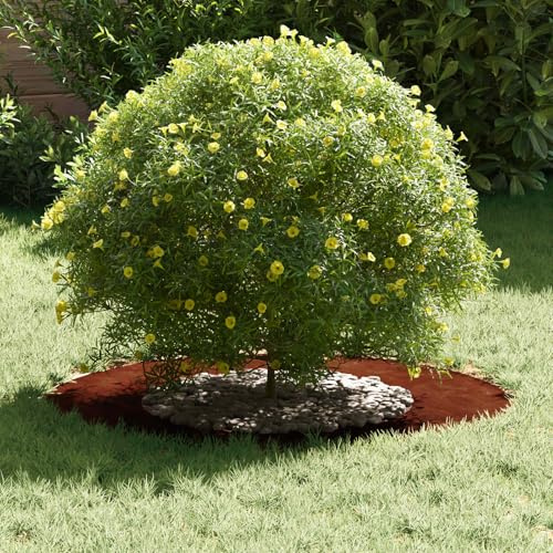 Mokuyary Geeignet für Baumring, flach, braun, Ø 30/60 cm, Cortenstahl, für Garten, Terrasse, Terrasse, Balkon,