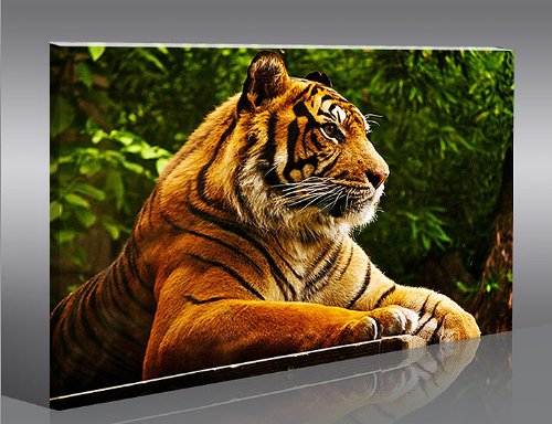 islandburner Bild Bilder auf Leinwand Tiger 1p XXL Poster Leinwandbild Wandbild Art up Your Life ®