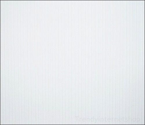 Vlies Tapete Aktion Rasch 456431 Uni einfarbig weiß Streifen Linien Fineline