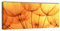 wandmotiv24 Leinwandbild Panorama Nr. 319 Pusteblume Orange 100x40cm, Keilrahmenbild, Bild auf Leinwand, Löwenzahn Blüte Schirmchen
