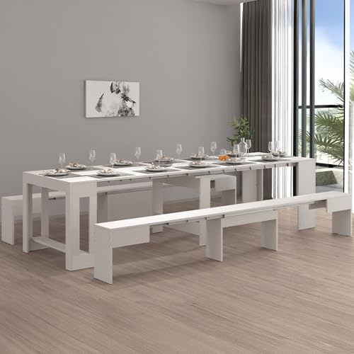 Dmora - Bank Torquato, Set mit 2 Sitzgelegenheiten für den Esstisch, ausziehbare Bänke, 290x25x45 cm, Weiß