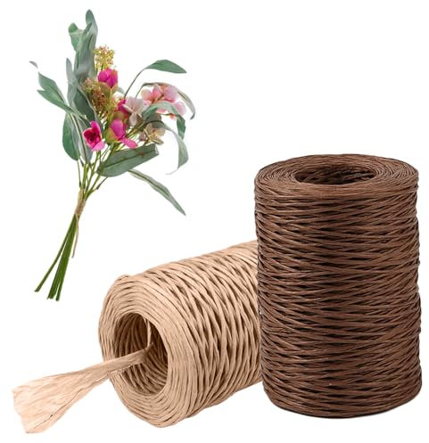 Zasvec Papierdraht Natur 2 Rollen Papierkordel 200m Papierbindedraht Papierkordel mit Eisendraht zum Basteln Dekodraht Blumendraht Eisendraht zum Basteln für Hochzeiten Dekoration und DIY