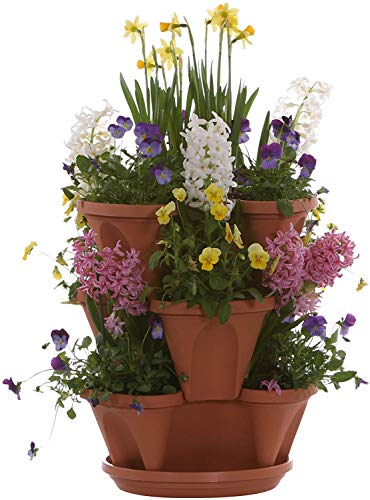 Apilado maceta (terracota)