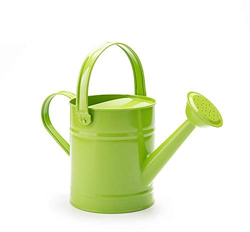 JYCAR Riego de metal, cubo de riego de jardín de 1,5 l, regadera de hierro, maceta de agua de jardín con asas, ducha de plantas para bonsái en interiores y exteriores
