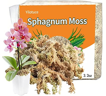 Yilotuce 90g Sphaigne pour Plante, Très Bon Substrat pour Orchidées, Bon Terreau Plante Intérieur