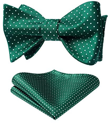 HISDERN Noeud Papillon Homme Pois Noeud Papillon Vert avec Mouchoirs Vintage Original Multicolore Ensemble de Noeud Papillon et Pochette de Fete Mariage Saint Valentin