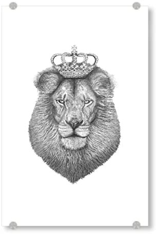artboxONE Acrylglasbild 150x100 cm Glasbild Tiere The King Bild hinter Acrylglas - Bild löwe könig löwe