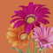 Servietten Sommer und Frühling mit Blumen-Motiv - 20 Stück - Schöne Papier-Servietten in orange & pink - perfekt für Gartenpartys, Picknicks oder Geburtstage