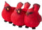 Wilitto Office Desk Planter Coffee Table Three Red Bird Flowerpot Resin Figurine Weather-proof Indoor Outdoor Desktop Vegetable Herb Succulent Pot Home Red