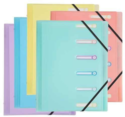 Exacompta - Ref 56170E – Karton mit 10 Ordnern Chromalin Pastell – 3 Klappen – mit Gummibändern und ausgeschnittenen Fenstern – Deckel und Innenseite aus PP – 6 Fächer – Maße: 25 x 32 cm – für A4 –