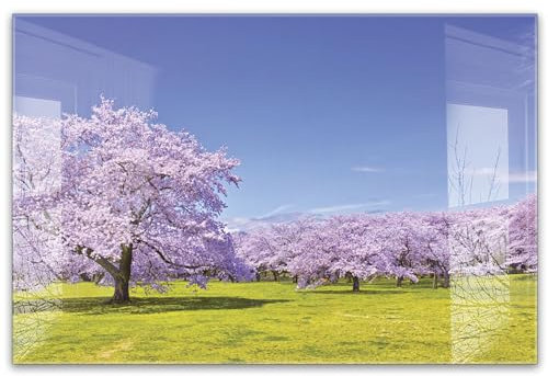 timalo Küchenbild aus Acrylglas modernes Wandbild Glasbild Deko Küche XXL Bild wie Glas | 60x40cm Landschaft Bäume, Natur, Kirschblüten