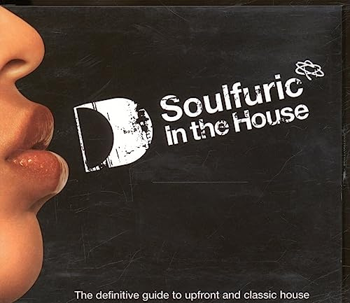 Soulfuric - In The House