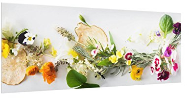 Spritzschutz Glas - Frische Kräuter mit Essblüten - Panorama Quer, 50cm x 125cm