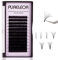 Easy Fan Lashes 0.07 D Curl Single Tray 14mm 2D-20D Volume Eyelash Extensions Self Fanning Russian Lashes Individual Lash Extension（0.07d-14mm）