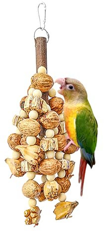 HPAWHOMEPART Großes Vogelspielzeug, Kauspielzeug für Papageien, natürliches Nussspielzeug zum Aufhängen, für Sittiche, Lovebirds, Finken, Aras, Nymphensittiche