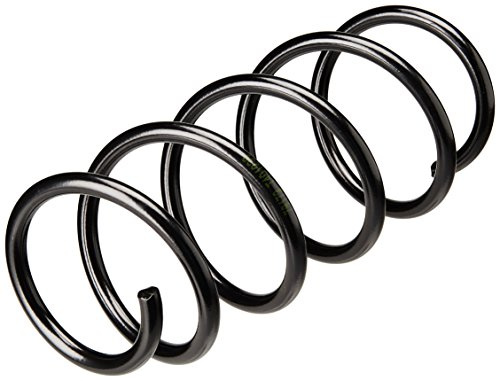 lesjofers 4026225 Coil Spring Front