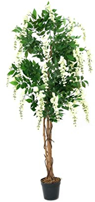 kunstpflanzen-discount.com Künstlicher Goldregenbaum, weiße Blüten mit Naturstamm & Zementfuß 180cm hoch - Goldregen Kunstbaum