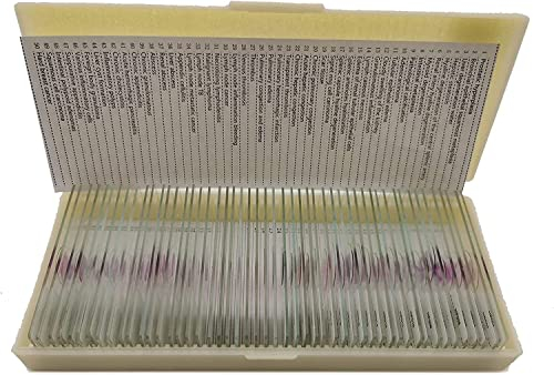 Mit menschlichen Mikroskopen präparierte Objektträger Mit Histologie-Objektträger für den Unterricht in der Medizinischen Praxis