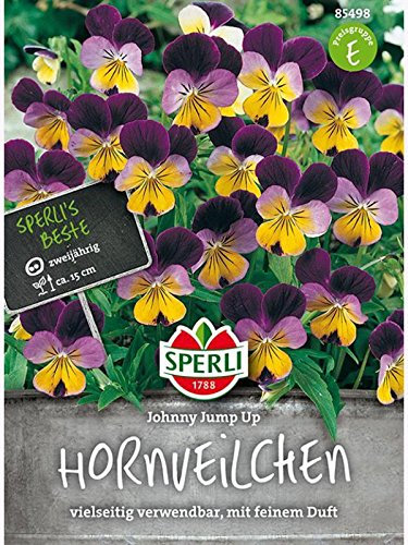 Hornveilchen (Viola) Johnny Jump Up