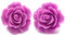 Bluebubble ENGLISH ROSE 22mm Lavender Lilac Purple Carved Rose Stud Earrings on Gift Card