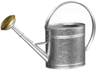 GUILLOUARD regadera de 4L de Acero galvanizado Acero Inoxidable