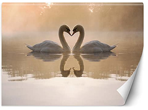 Feeby Vlies Fototapete Schwäne Tiere Vögel 300x210 cm Beige Wanddeko Inklusive Kleister Hotel Spa Büro Wohnzimmer Schlafzimmer Flur Morgen Nebel Teich