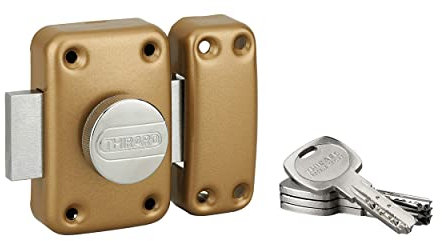 Verrou de Porte d'Entrée TRANSIT 2 - Bouton + Cylindre 65mm - Protections de Sécurité - avec 4 Clés Laiton Nickelé Réversibles et Carte de Propriété - Made in France - Finition Époxy Doré - THIRARD