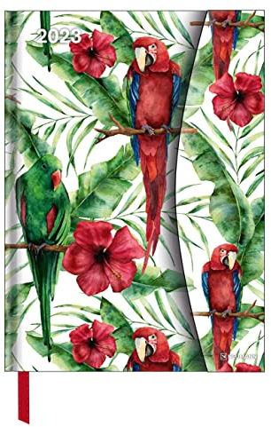 Jungle 2023 - Diary - Buchkalender - Taschenkalender - 16x22: Magneto Diary