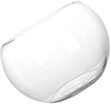 BESPORTBLE Transparentes Rundes Glasbecken für Fische mit Feiner Verarbeitung und Stylischem Design für Zuhause und Pflanzen