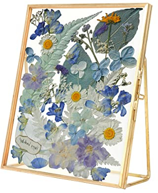 Hapivida Cadre Photo Laiton, Cadre Double Verre Transparent Rétro Style Cuivre Cadre Photo de Bureau Cadre Photo en Laiton en Verre 14x16cm