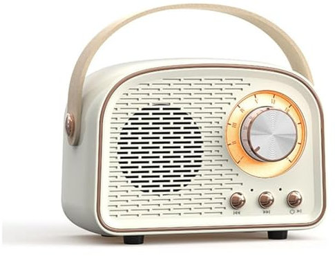BBTISG Portable Retro Wireless Speaker, HD Stereo Portable Speaker Wireless with FM Radio for Home, Travel, Camping (White)