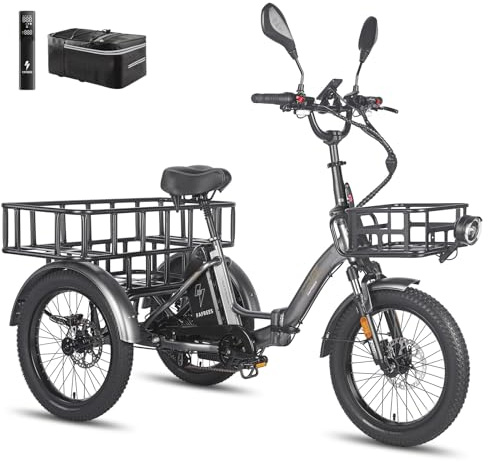 Fafrees F20 Mate, Ebike Dreirad für Erwachsene 48V 21Ah Akku, E Bike Klapprad 20 * 3.0 Zoll, 65N.m Elektro Dreirad Lasten für Senioren, Reichweite 85-130km