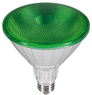 SEGULA LED Reflektor - PAR38 - IP65 - grün - dimmbar - LED Außenbeleuchtung, 50763