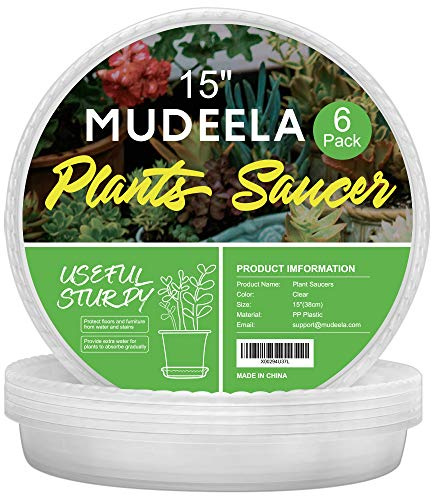 Mudeela Lot de 6 coupelles pour pots de plantes d’intérieur en plastique durable transparent