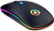 Unity Mouse Wireless Ricaricabile Mini Mouse Ottico Senza Silenzio Click, Ultra Sottile 1600 DPI per Computer Portatile PC Laptop Computer Portatile Mac Nero