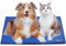 GoStock Kühlmatte für Hunde, Kühlmatte für Haustiere Ungiftiges Gel-Selbstkühlende Matte für Hunde und Katzen, Pet Cooling Mat Hund Cooler Pad für Kisten, Zwinger und Betten (90 * 50cm)