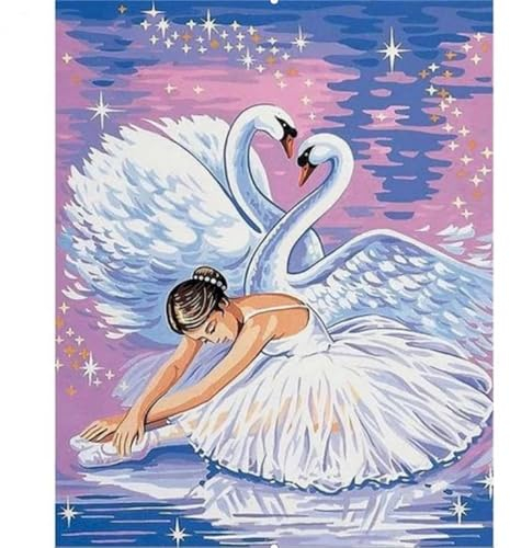 Yoonqun Schwan Ballett Mädchen Malen Nach Zahlen Set,40x50cm Malen Nach Zahlen Erwachsene DIY inklusive Pinsel und Acrylfarben Handgemalt Ölgemälde Kit Startseite Wandkunst Dekoration - ohne Rahmen