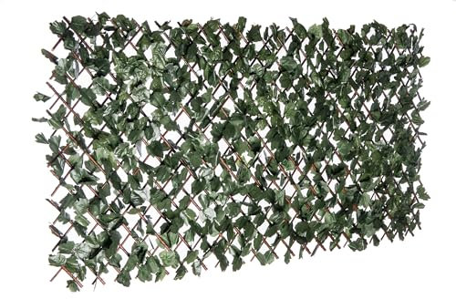 Naturae Decor Erweiterbares Weidenspalier – Outdoor-Sichtschutz – robust und flexibel – realistisches Aussehen – 101,6 x 203,2 cm – Efeublätter