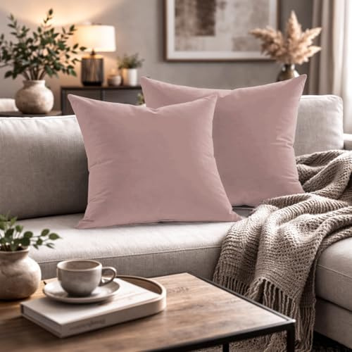 Giovanni Dolcinotti MADE IN ITALY Set 2 Federe Cuscini Divano - 40x40 - Velluto - Rosa - Copricuscini Decorativi per Divano Soggiorno Camera da Letto - Cerniera Zip - Modello Monroe