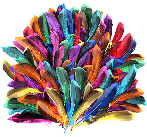 SUNRIZ Federn Zum Basteln, 150 Stück Bunte Federn Natürliche Federn Deko Bastelfedern für DIY Ohrring, Hochzeit, Traumfänger, Kopfschmucksfedern, Schulhandwerk