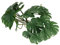 Marooma Plantes de Palmier Artificielles pour Terrarium de Reptiles, Décoration Amusante en Plastique avec Ventouse, Plantes de Reptiles, Décoration de Terrarium, Peau de Gecko Léopard, Enclos D'araig