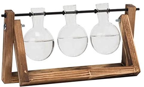 BESPORTBLE 3stücke Hydroponische Glasvase Mit Holzständer Für Zimmerpflanzen Borosilikatglas Bruchfest Für Home Office Und Dekoration Ohne Erde